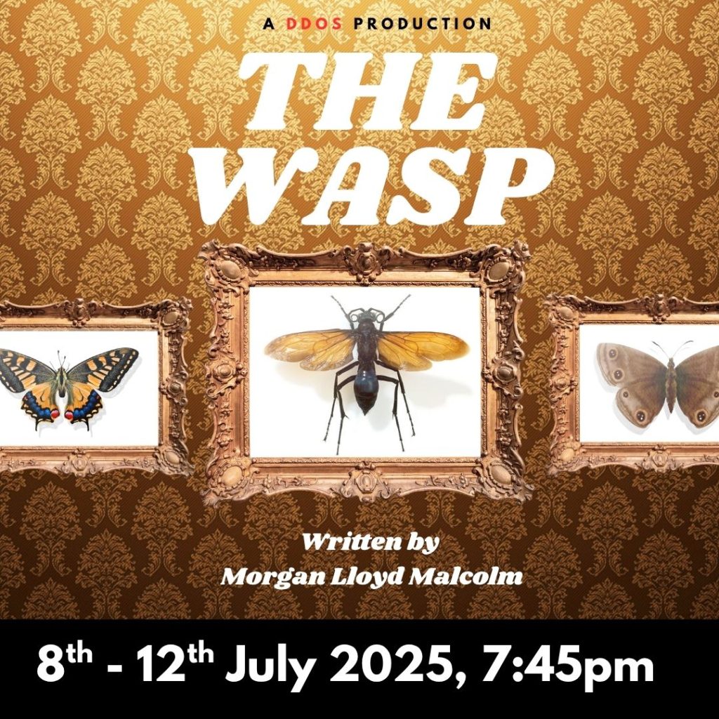 The Wasp (1080 x 1080 px)